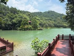 -广州白江湖森林公园