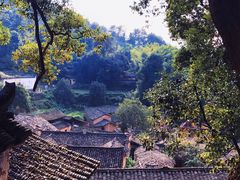 -杨家堂村