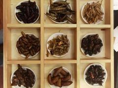 -昆虫窝子·特色云南菜(拓东路总店)
