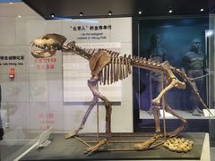 -北京周口店北京人遗址博物馆