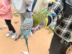 -郑州方特梦幻王国