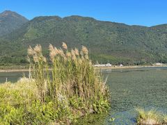 -腾冲北海湿地