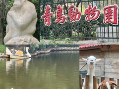 -青岛动物园