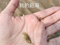-刘家湾赶海园