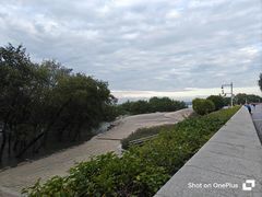 -宝安西湾红树林湿地公园