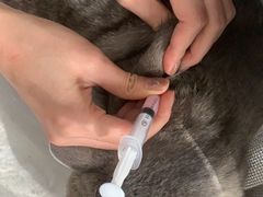 -佑安动物医院·全科·内窥镜中心(幸福巷店)