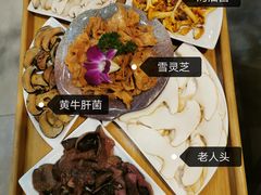 -大理董·董家小厨野生菌火锅(古城旗舰店)