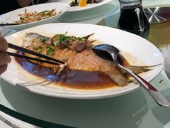鲥鱼-得尔乐大酒店(南塘店)