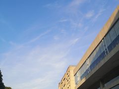 -杨裕兴(岳麓山店)