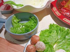 -蜀城老妈火锅(红旗街店)