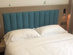-龙禧盛精品酒店(天津西站店)