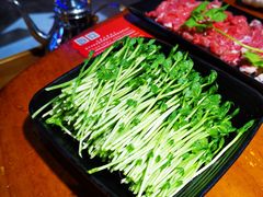 -捞围鲜·港式打边炉(海阳路店)