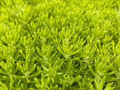 -上海植物园-4号门售票处