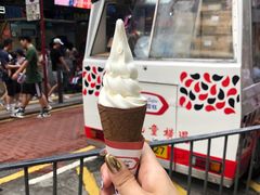 -富豪雪糕车流动点(尖沙咀店)