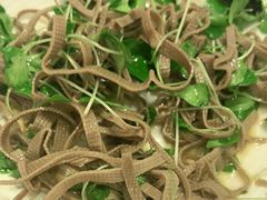 -紫光园(顺义店)