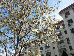 android_upload_pic-北京市海淀外国语实验学校