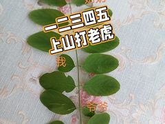 -北京市西城区实验幼儿园