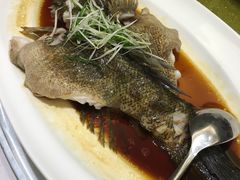 -宝燕壹号(徐汇店)