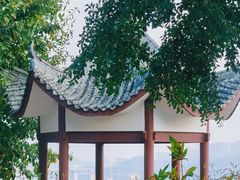 -大渡口区义渡公园