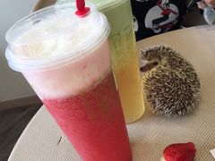 -奈雪的茶(南山大冲一期店)