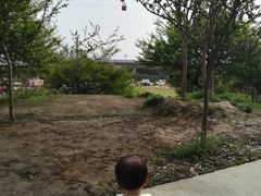 -秀丽东方