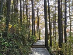 -白草畔自然风景区