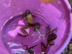 -云岫谷游猎自然风景区