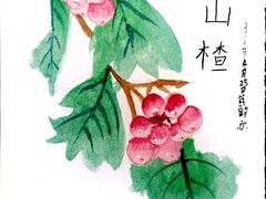 -北京华联购物中心(同成街店)
