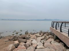 -深圳湾公园(南山区)