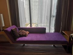 -青岛富力艾美酒店