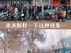 -净香园熟肉(北坦总店)