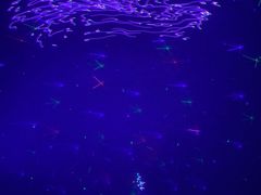 -济南方特东方神画