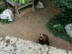 -石家庄市动物园