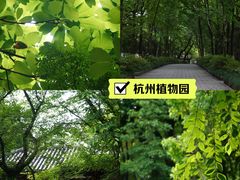 -杭州植物园