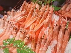 -Mr.Fish鱼鲜生海鲜放题(高德置地冬广场店)