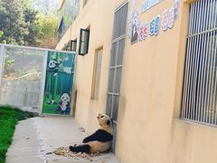 -西安秦岭野生动物园