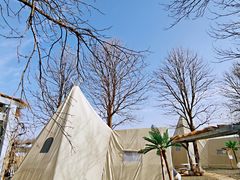 -安德鲁户外烧烤帐篷营地(马泉营店)