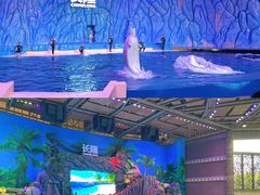 -珠海长隆海洋王国