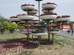 -武清南湖绿博园