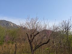 -北京凤凰岭