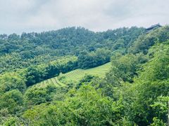 -敬亭山风景名胜区