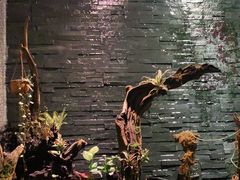 -泰适SPA馆丨精油·按摩·足道(后海地铁口店)