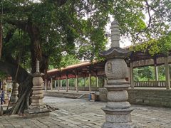 -雷老虎烧烤(西街店)