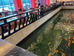 -龙悦湾酒家·八阵鱼生·渔人码头店