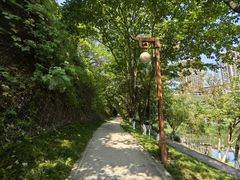 -重庆彩云湖湿地公园