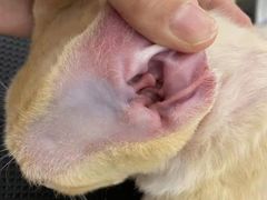 -comecome来吧宠物(奥克斯中心店)