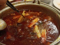 -一绪に寿喜烧(荟聚店)