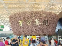 -百万葵园