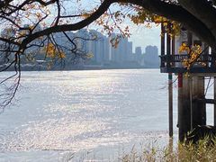 -江心屿景区