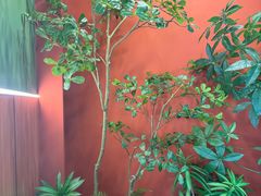 -0048鲜活香辣虾·火锅(铜陵路店)